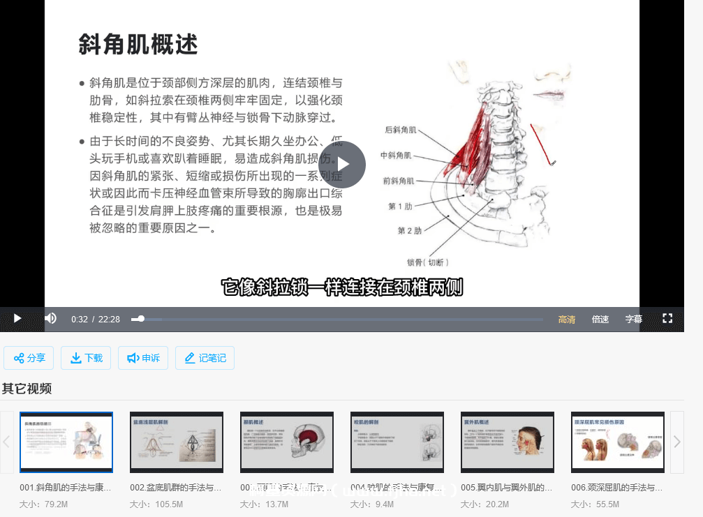 封华【夯实基础】全身肌肉理论+手法实操全集