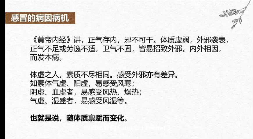 王寻之老师常见病精讲及练脉用脉面授课